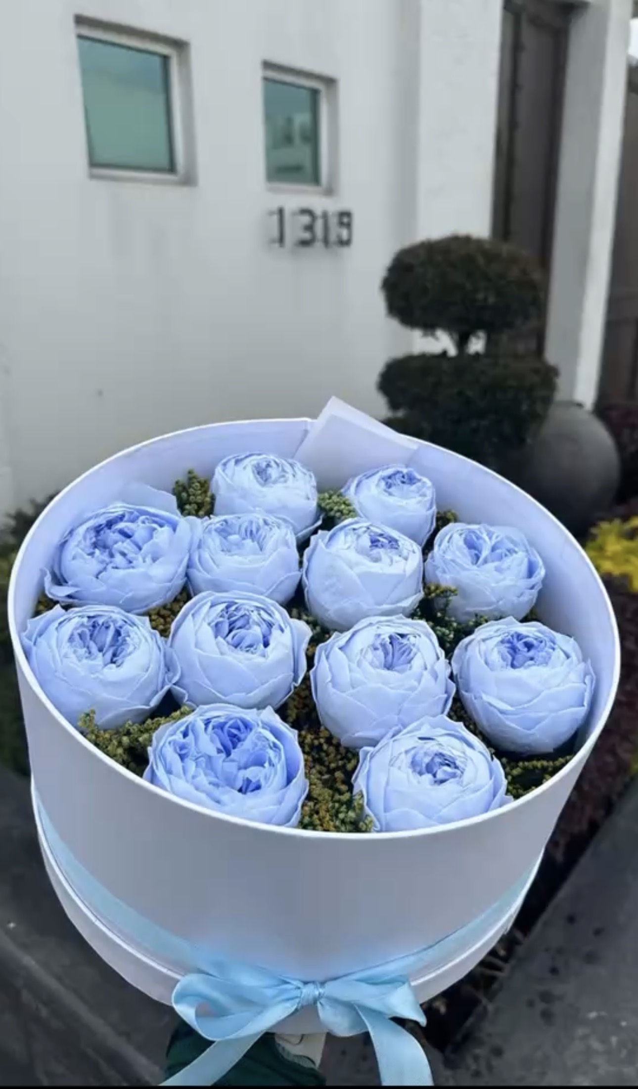 Peonías Eternas Azul